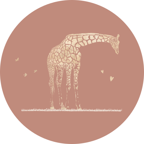 Sluitsticker met giraffe en hartjes