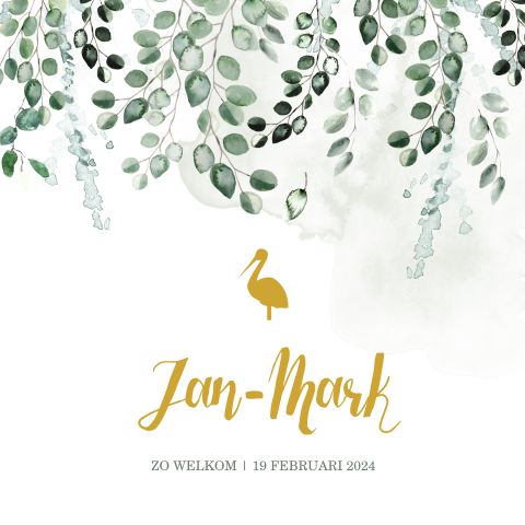 Stijlvol geboortekaartje voor jongen met botanische waterverf takjes