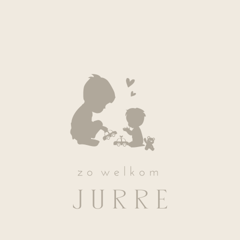 Geboortekaartje silhouet spelende broertjes met auto's