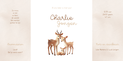 Theatervouw babykaartje met familie herten