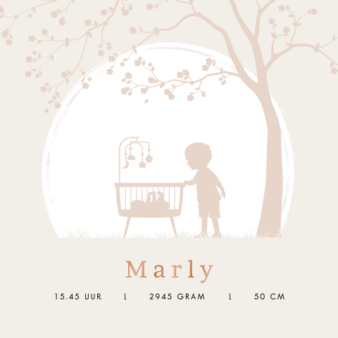 Poster beige met wiegje en silhouetje van grote broer