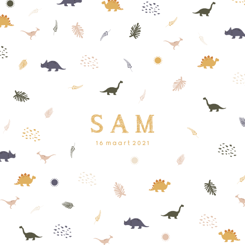 Dino-geboortekaartje voor een jongen