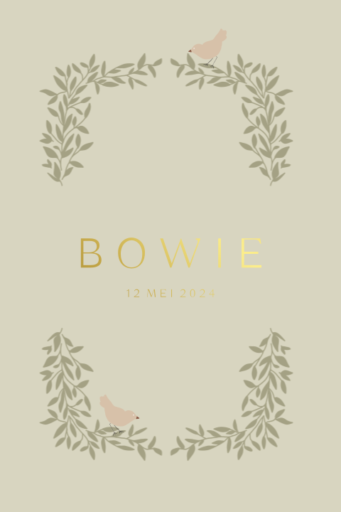 Luxe geboortekaartje met vogeltjes, takjes, goudfolie en ronde hoeken