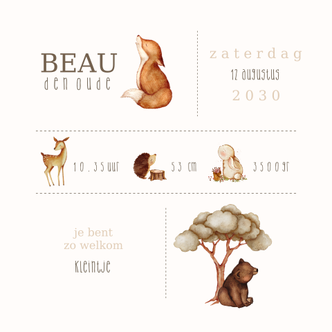 Bosdieren geboortekaartje met vos, egel, konijntje en hertje