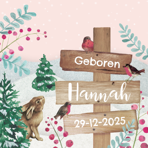 Winter geboortekaartje met houten wegwijzer voor een meisje