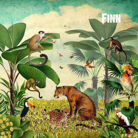 Retro geboortekaartje jungle met tijger