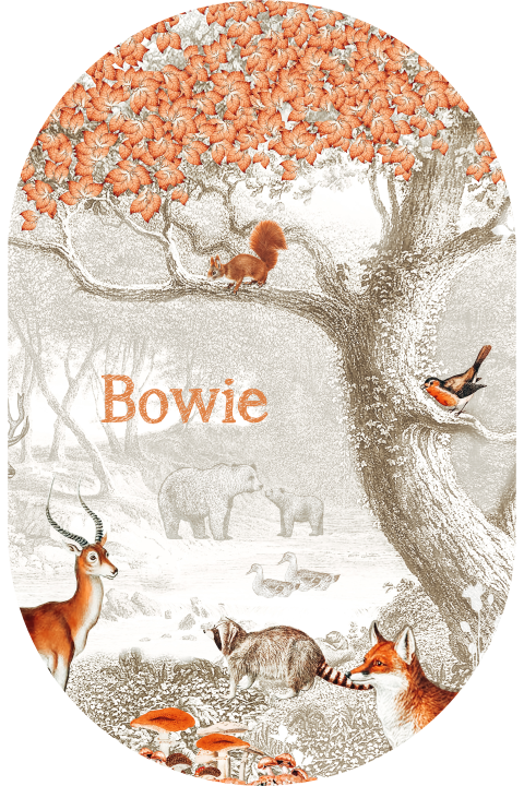 Origineel herfst geboortekaartje met illustraties bosdieren