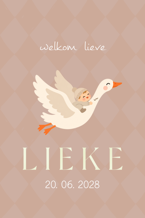 Geboortekaartje met ruiten en vliegende gans met kindje op rug
