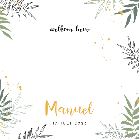 Hip stans geboortekaartje voor jongen met olifant en takjes