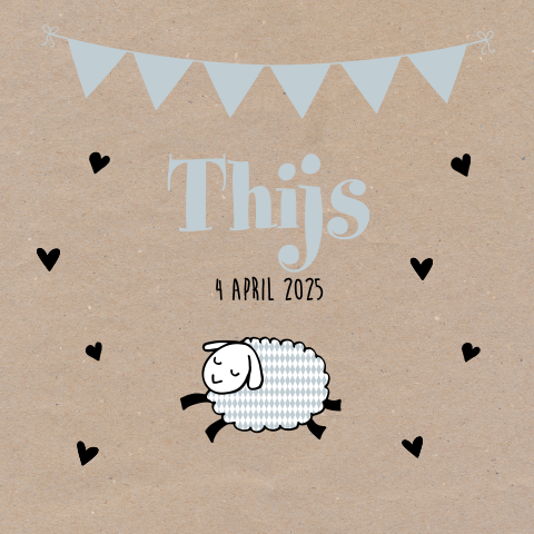 Geboortekaartje voor jongen met schaapje