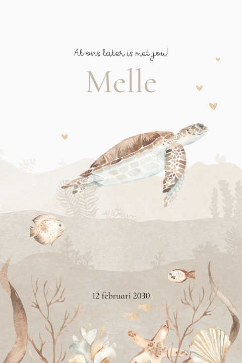 Onderwaterwereld geboortekaartje unisex met schildpad