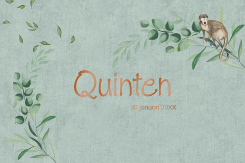 Hoogglans geboortekaartje voor zoontje met jungle en aapje
