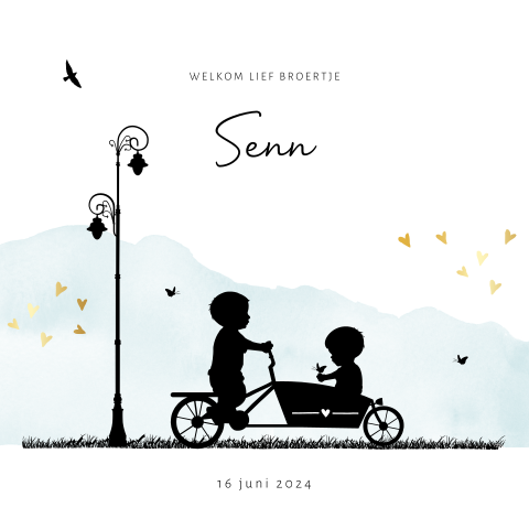 Geboortekaart jongetje silhouet bakfietsje lantaarnpalen