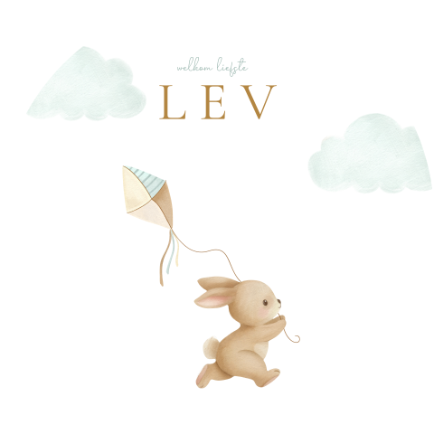 Raamsticker jongen met konijn en vlieger