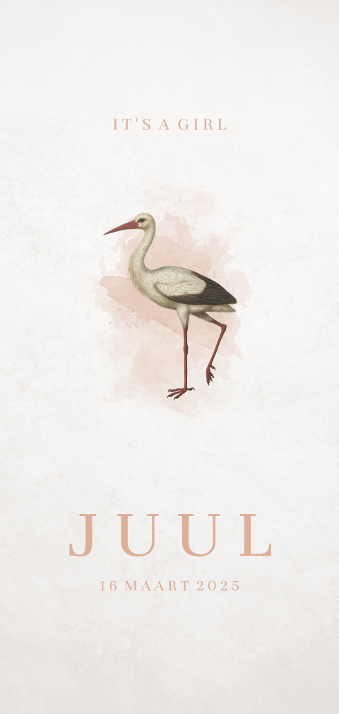 Trendy geboortekaartje voor meisje met vintage ooievaar