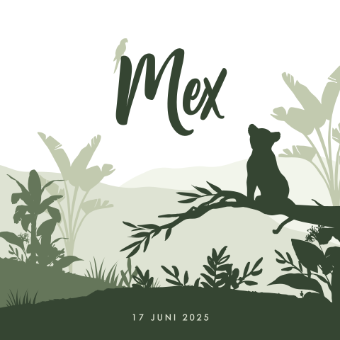 Stoer geboortekaartje met jungle thema voor een jongen