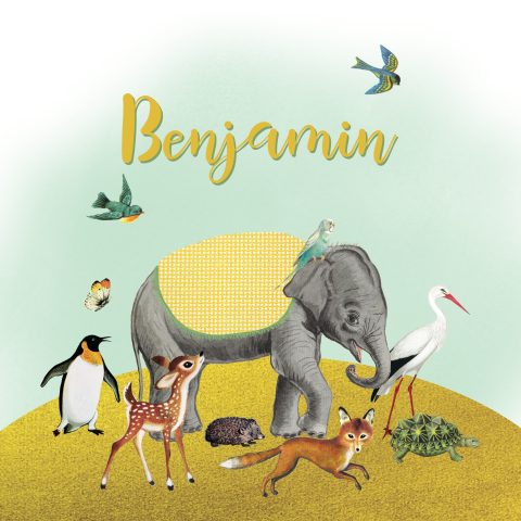 Vintage geboortekaartje met dierenparade