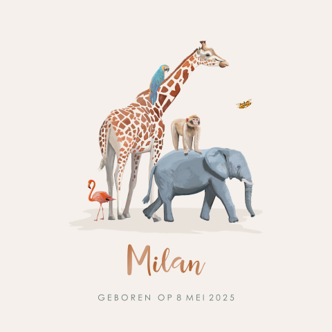 Luxe hoogglans geboortekaartje met jungle dieren voor een jongen