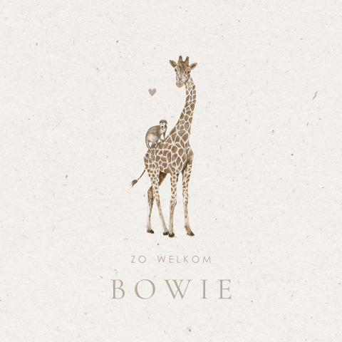 Hip geboortekaartje beige met illustratie giraffe en aapje