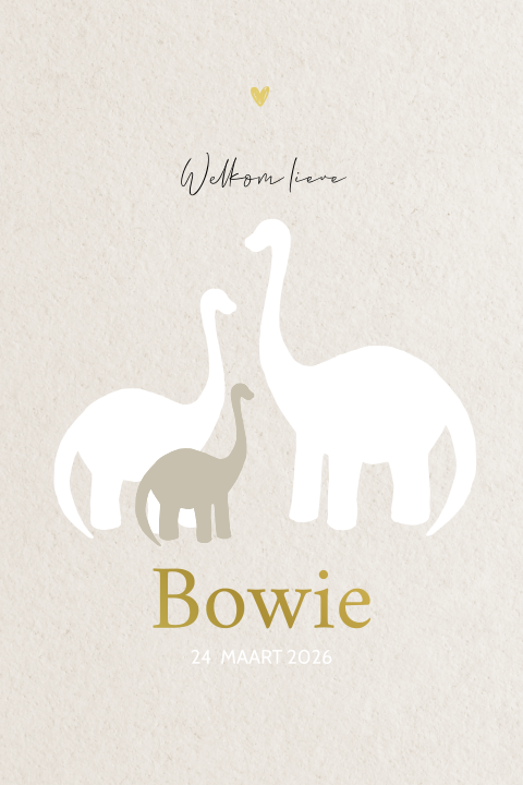 Trendy geboortekaartje met dino silhouetjes en goudfolie
