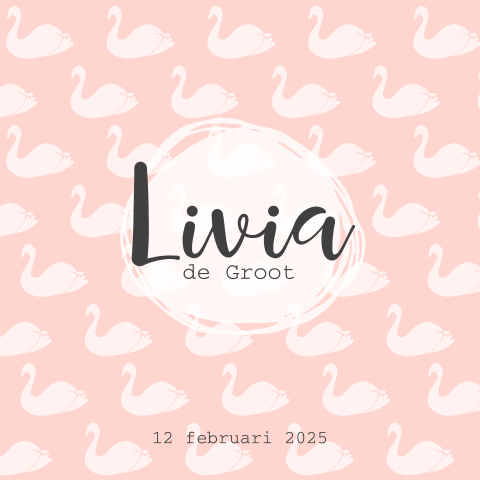 Geboortekaartje meisje met zwaantjes 