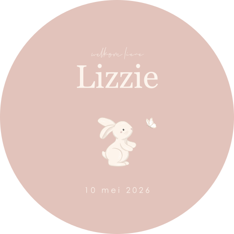 Raamsticker rond roze met lief konijntje