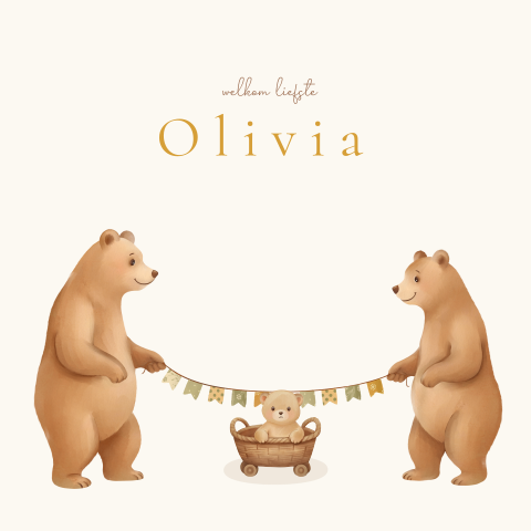 Lief geboortekaartje met familie beren en vlaggetjes