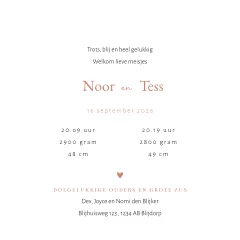 Lief geboortekaartje voor tweeling met silhouetjes van twee meisjes