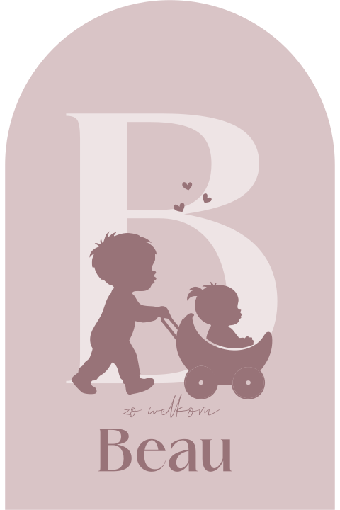 Geboortekaartje met silhouet van grote broer en zusje in kinderwagen