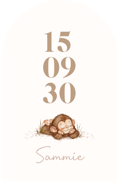 Boogvormig minimalistisch geboortekaartje met watercolour aapje