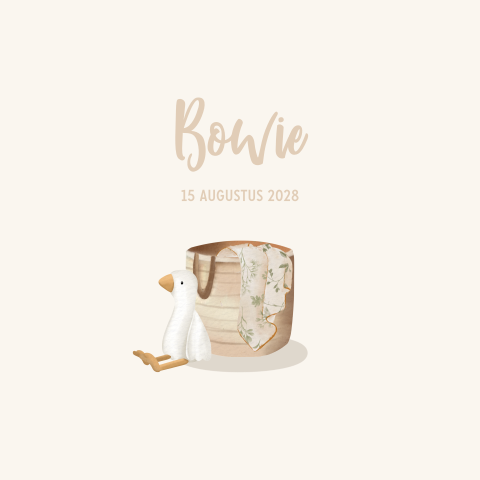 Schattig geboortekaartje met een knuffel gansje en mandje