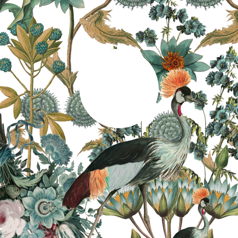Botanisch geboortekaartje met doorkijkje naar de naam