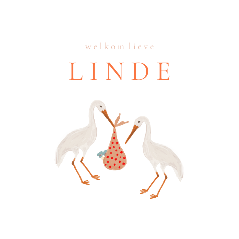 Lieve raamsticker met ooievaars en baby