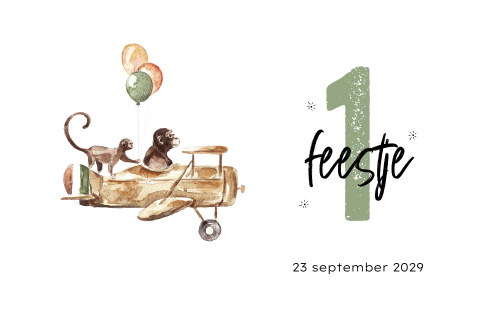 Eerste verjaardag uitnodiging feestje met aapjes in vliegtuig