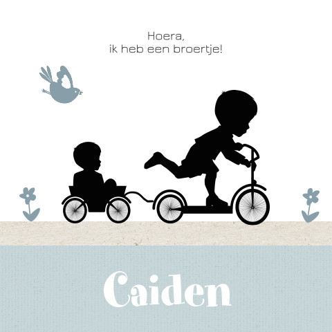 Lief geboortekaartje met silhouet van twee broertjes op de step