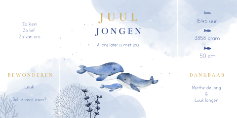 Geboortekaart in theatervouw met walvisgezin en blauw watercolor