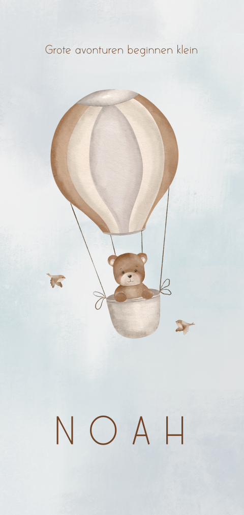 Lief geboortekaartje jongen met beer in luchtballon