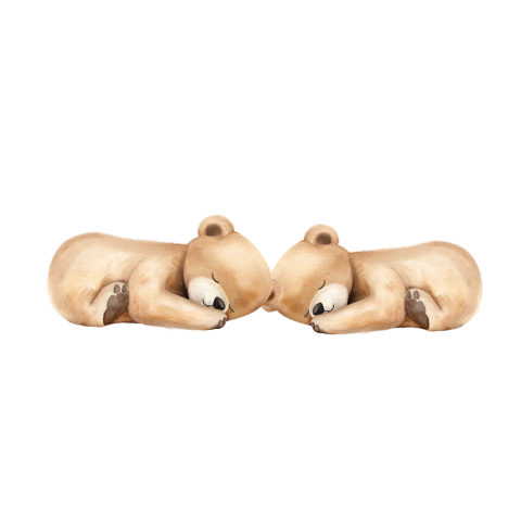 Sluitsticker tweeling met slapende beertjes