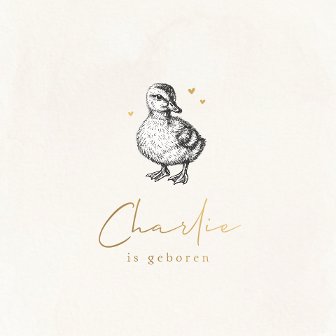 Leuk geboortekaartje met illustratie van een lief eendje 
