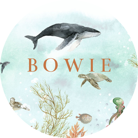 Sluitsticker met onderwaterwereld