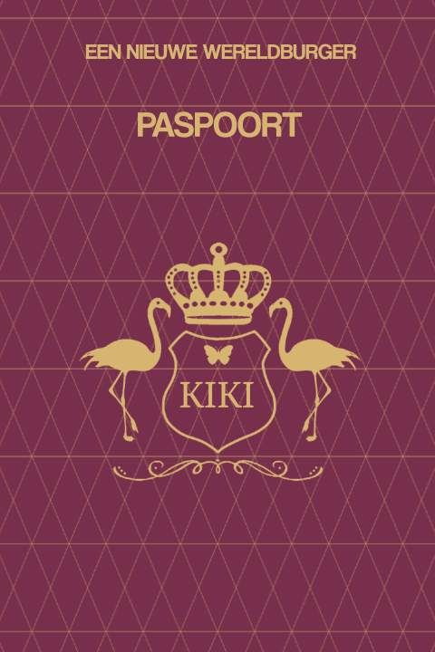 Paspoort geboortekaartje staand grijs