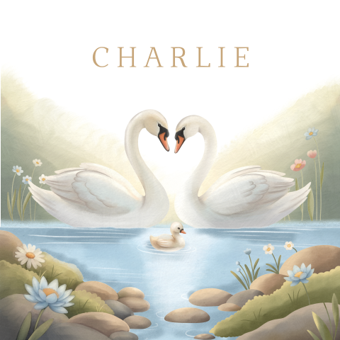 Romantische geboortekaart met illustratie van zwanen gezin