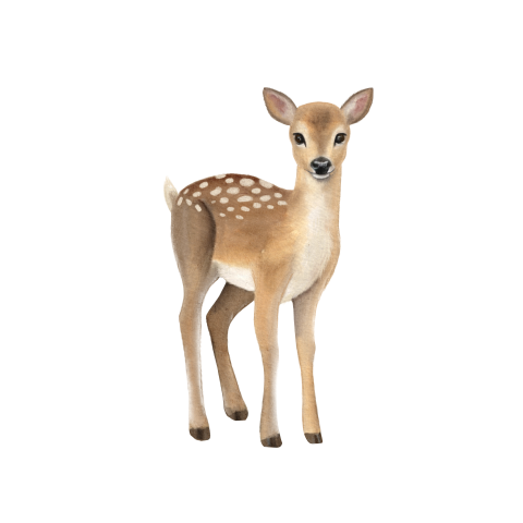Sluitsticker met illustratie van hert