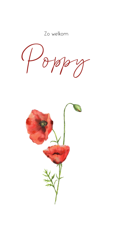 Stijlvol geboortekaartje met geboortebloem de klaproos