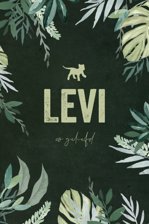 Jungle geboortekaartje voor jongen met welpje