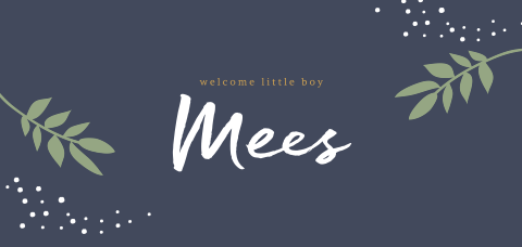 Modern panorama-geboortekaartje met takjes