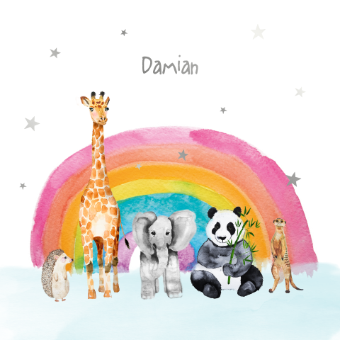 Vrolijke zilverfolie geboortekaart jongen met dieren en regenboogje