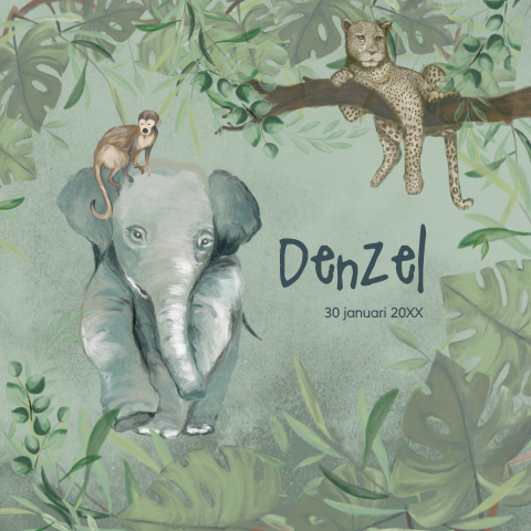 Stoer geboortekaartje met illustraties van jungledieren