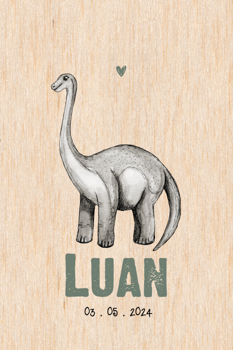 Echt houten babykaartje met dino en hartje