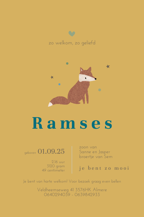 Lief geboortekaartje jongen in okergeel met vosje